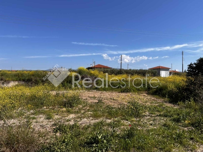 property-img