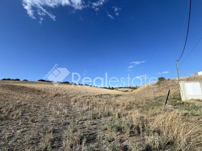 property-img