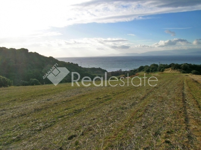 property-img