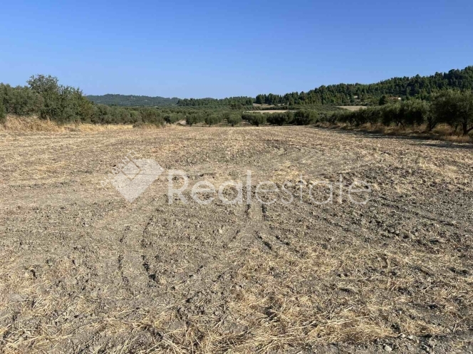 property-img