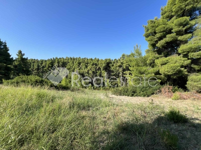property-img