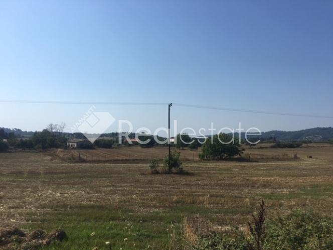 property-img